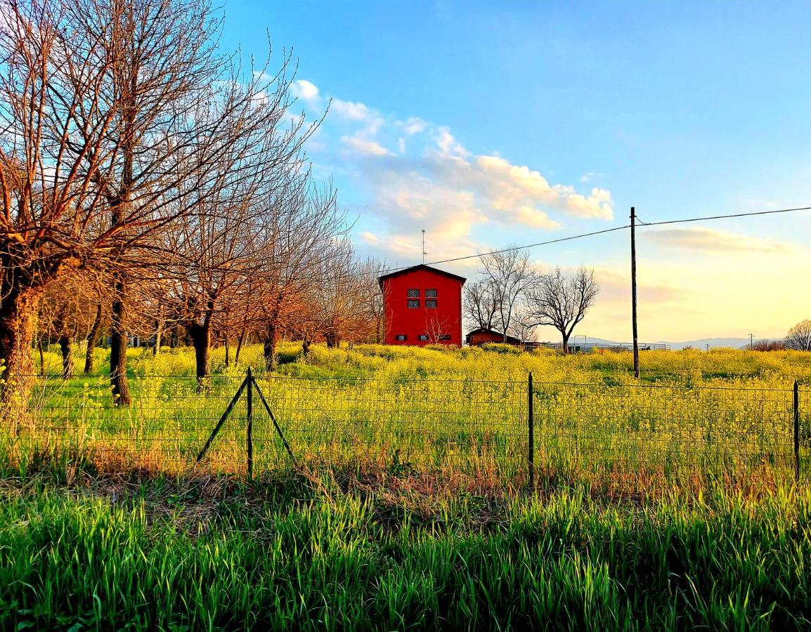 Agriturismo Azienda Agricola Ferrari M.Rita Pozza 외부 사진