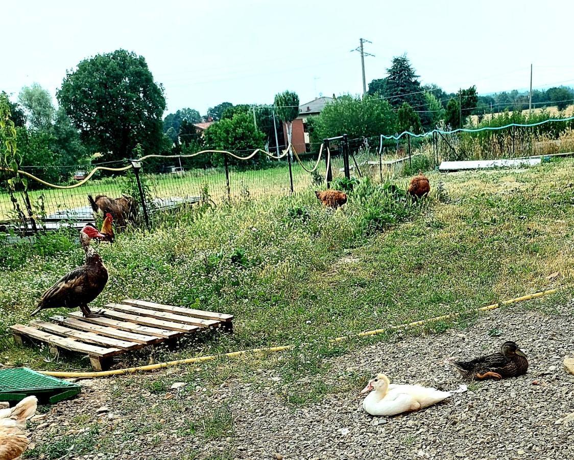 Agriturismo Azienda Agricola Ferrari M.Rita Pozza 외부 사진